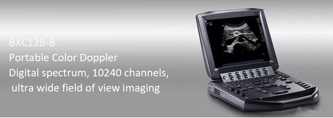 Portable Color Doppler